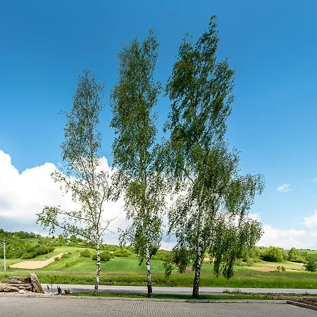 게스트하우스 Agrohotel Tri Brezy Hrustin